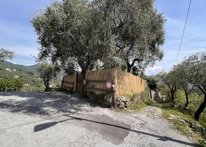 Lägenhet Les Oliviers